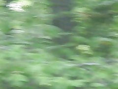 Tanora mpifanolo-bodirindrina